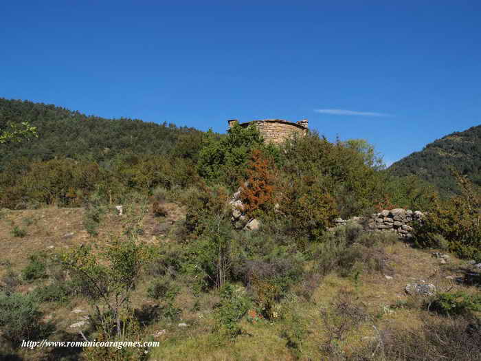 CABECERA DE LA ERMITA ENTRE LOS BOJES